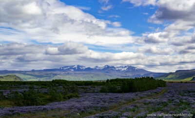 Landschaft im Süden Islands mit Blick auf den Vulkan Eyjafjallajökull